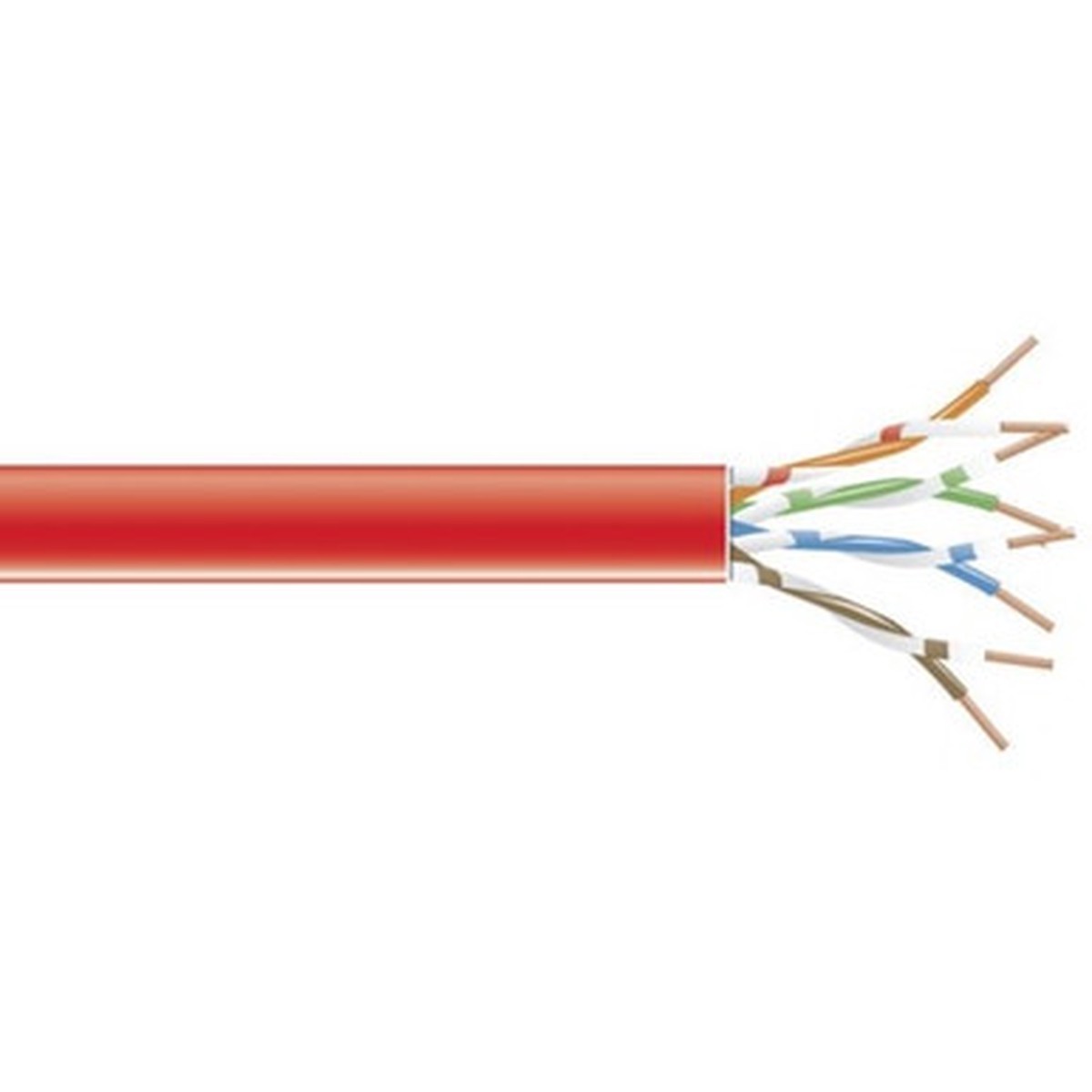 Black Box - GigaTrue Cat.6 Network Cable - EVNSL0643A-1000