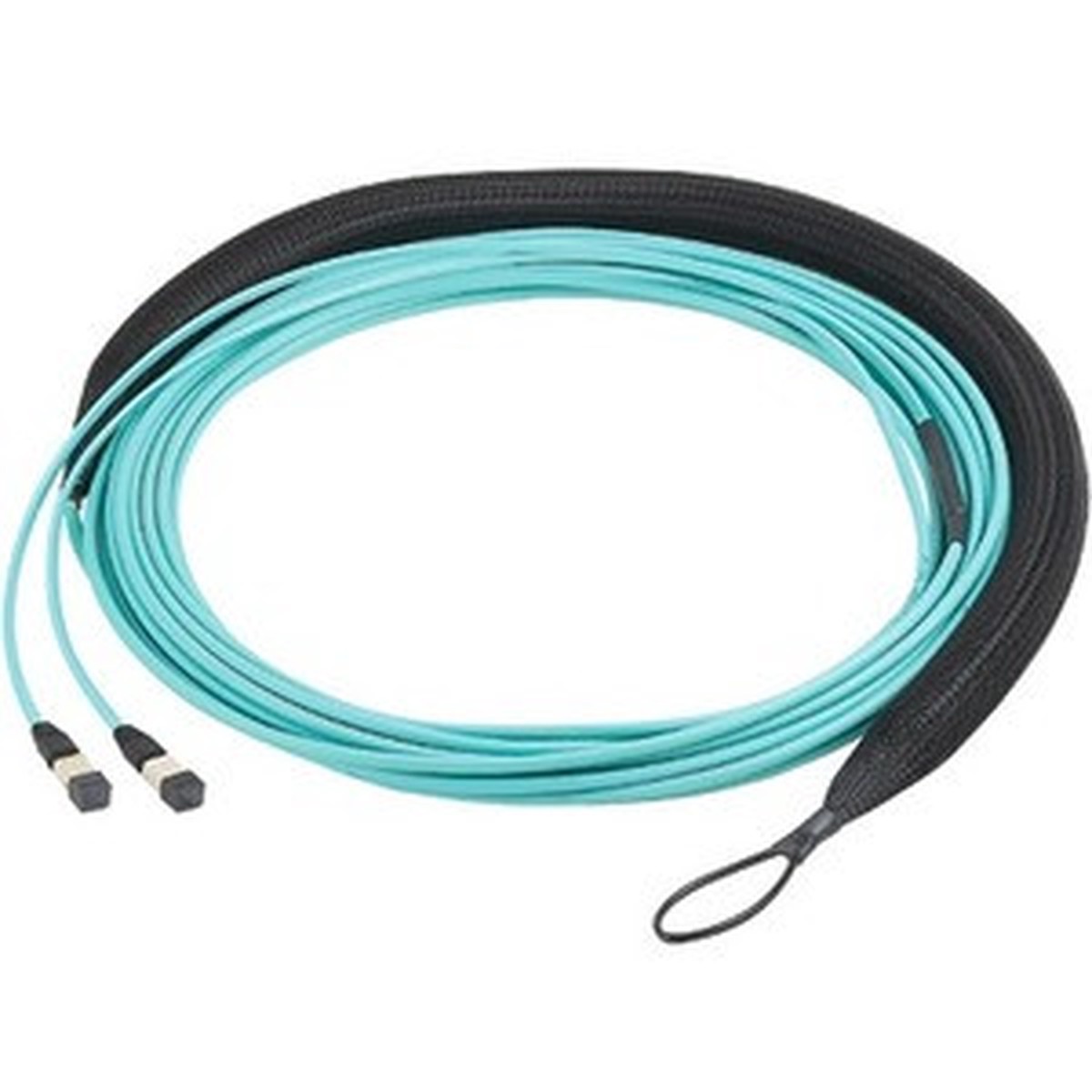 Panduit Fiber Optic Network Cable - FZTSL5E5EAAM065