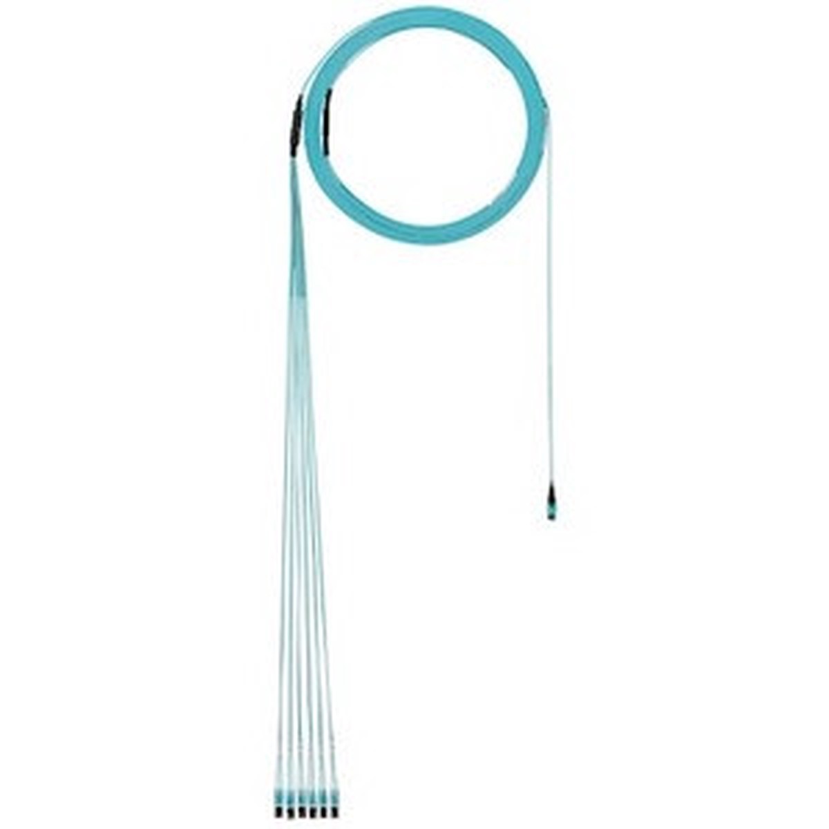 Panduit Fiber Optic Duplex Network Cable - FZTYP7EL2SAM080