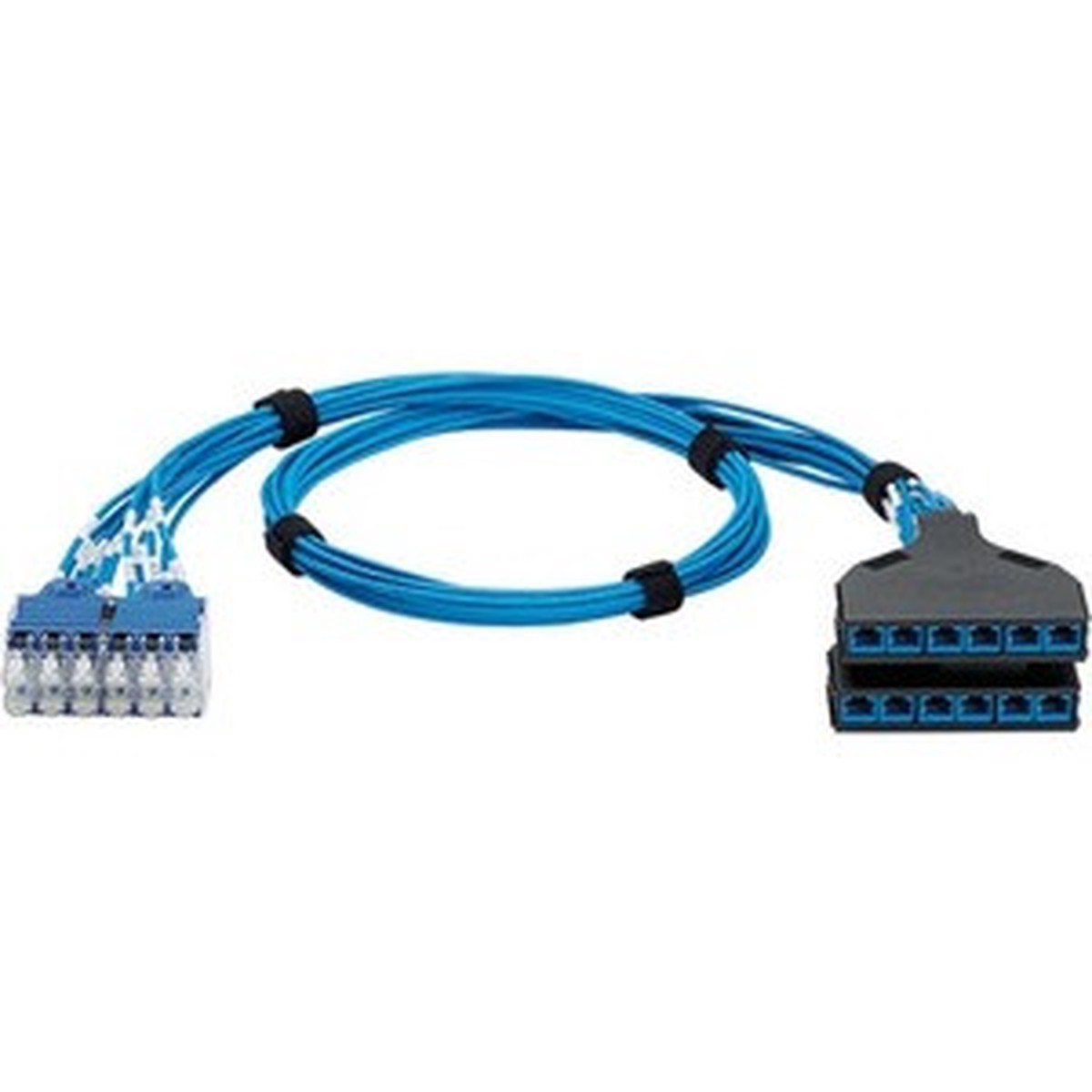 Panduit QuickNet Cat.6 U/UTP Network Cable - QPCSDBBBB07