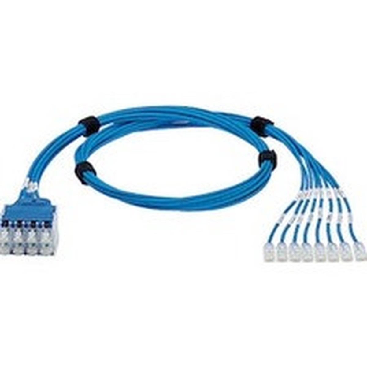 Panduit QuickNet Cat.6a Network Cable - QPPEDGAB1M