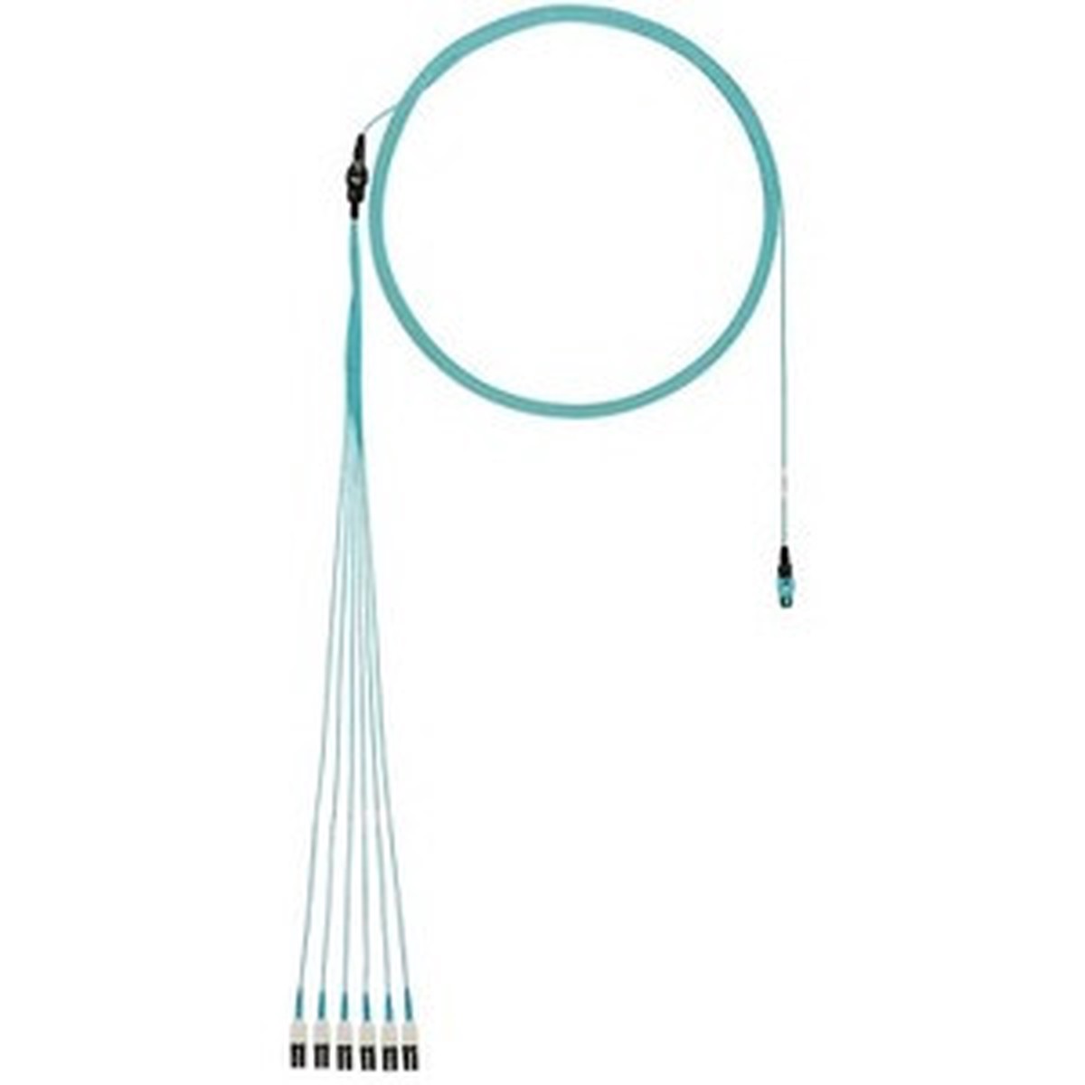Panduit Fiber Optic Network Cable - FX8RP7NUSQNF024