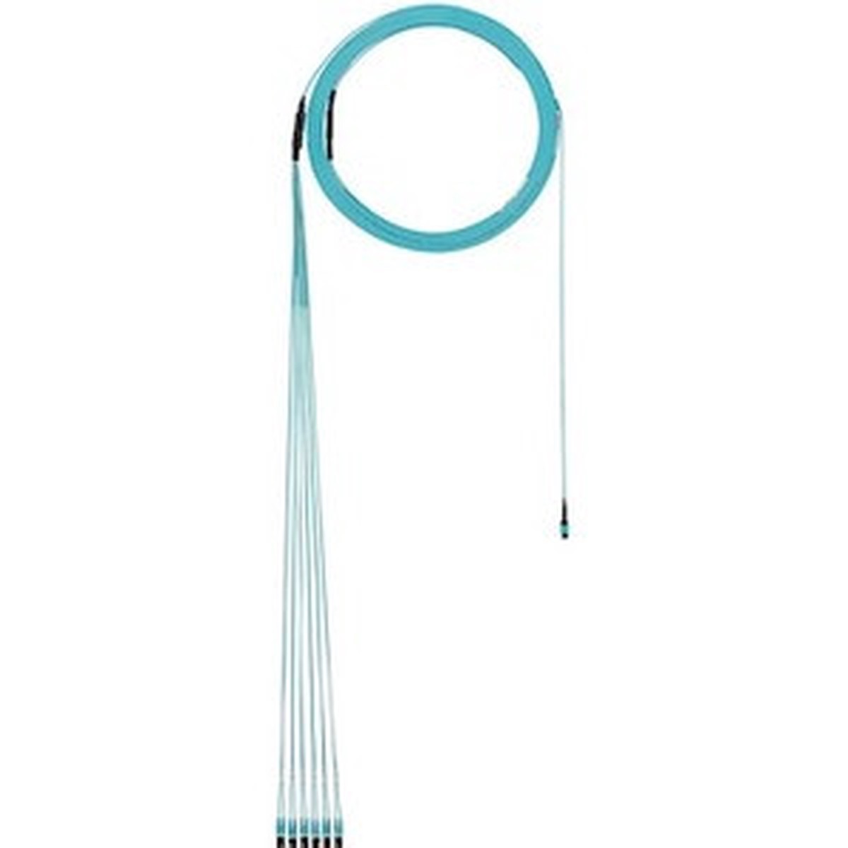 Panduit Fiber Optic Duplex Network Cable - FXTYL5EL2SAM080