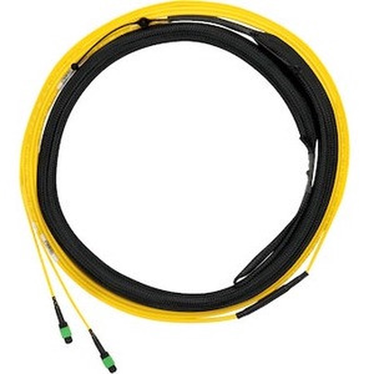 Panduit Fiber Optic Network Cable - F9TYP5E5EAAF100