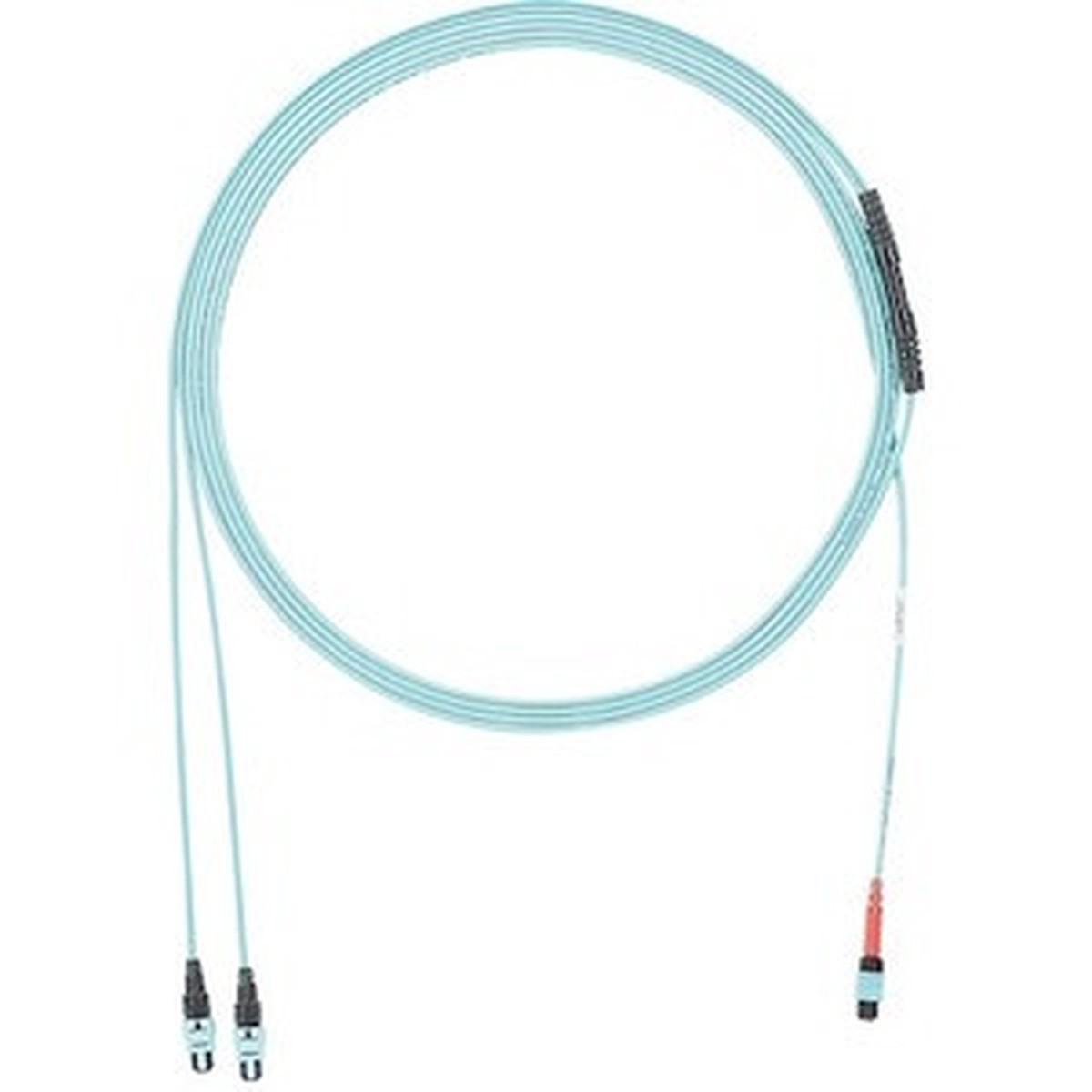 Panduit Fiber Optic Network Cable - FXURLEN74XNM007