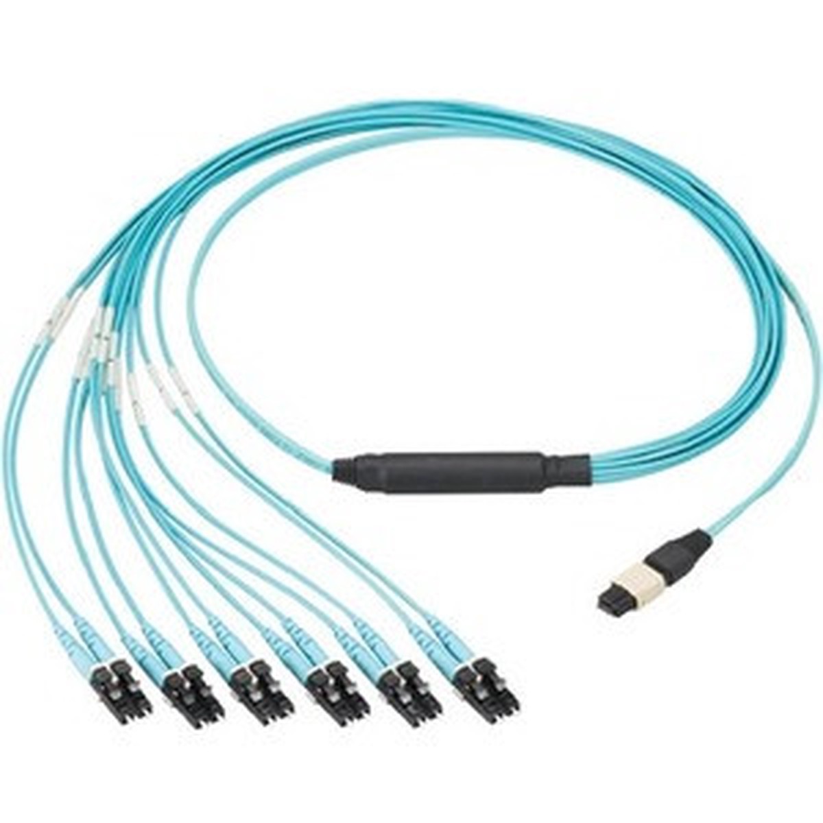 Panduit Fiber Optic Duplex Network Cable - FXTHL6NLDSNM024