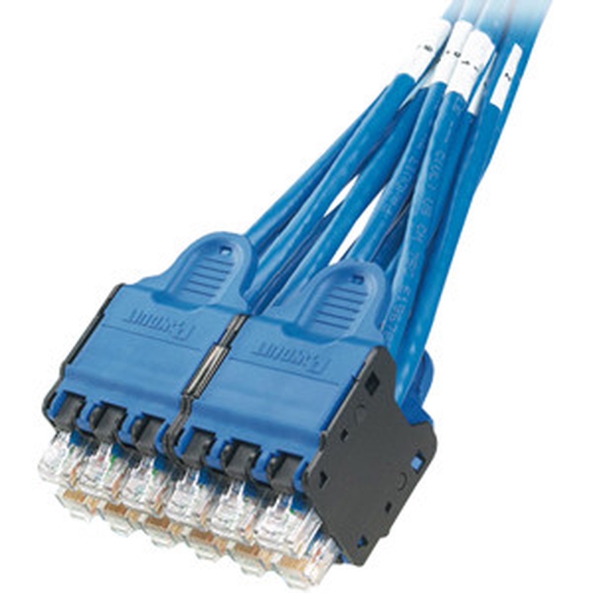 Panduit QuickNet QPPDCBBB03 Cat.5e Cable - QPPDCBBB03