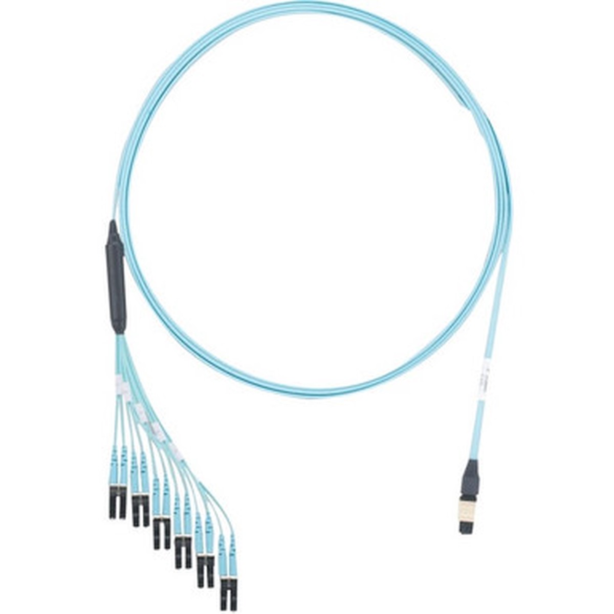 Panduit QuickNet Fiber Optic Duplex Network Cable - FXTHP5NLSSNF021