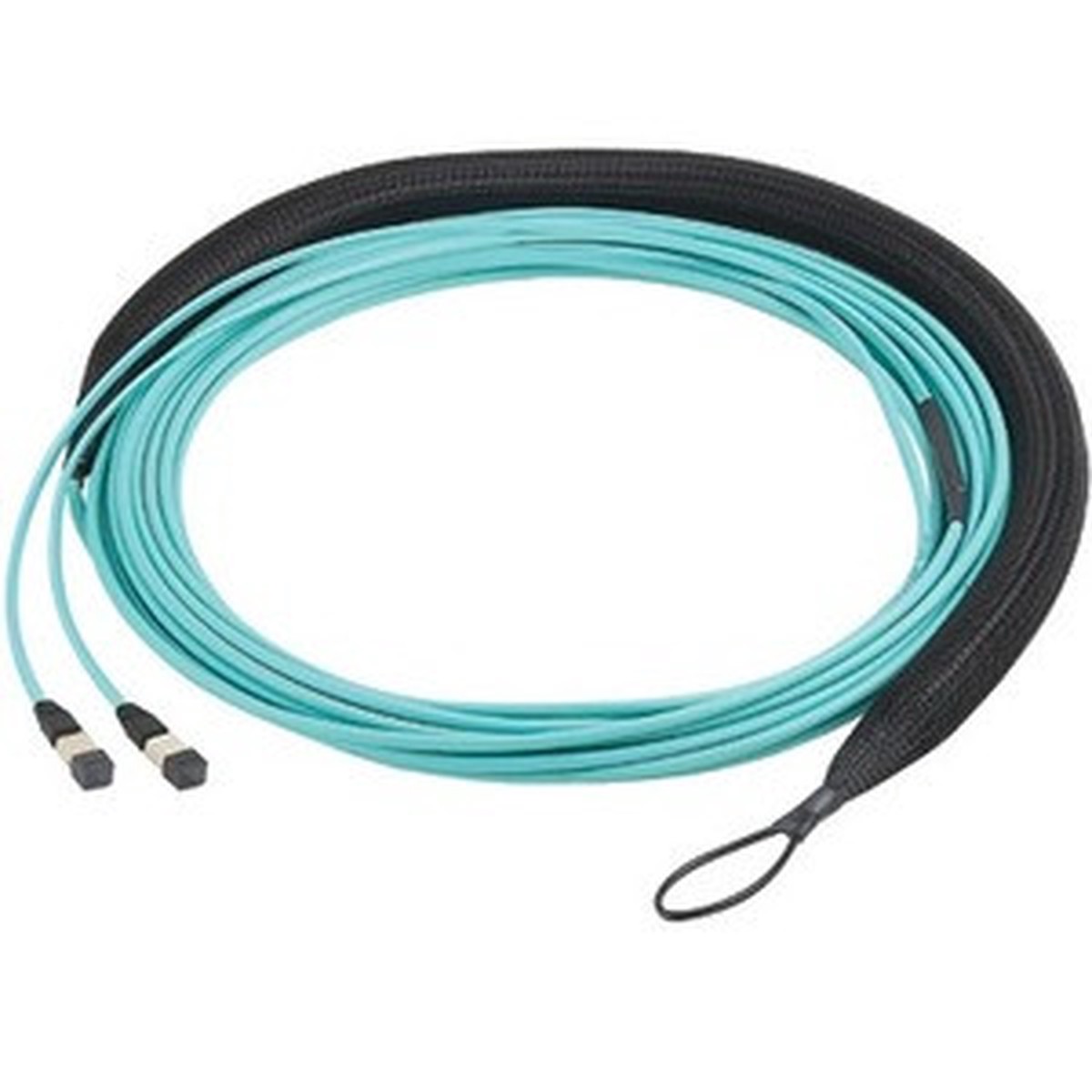 Panduit Fiber Optic Network Cable - FXUSL5E5EAAM005