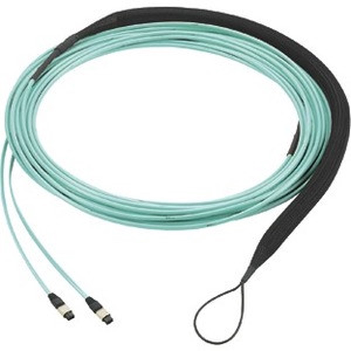 Panduit Fiber Optic Network Cable - FXXSL5E5EAAM080