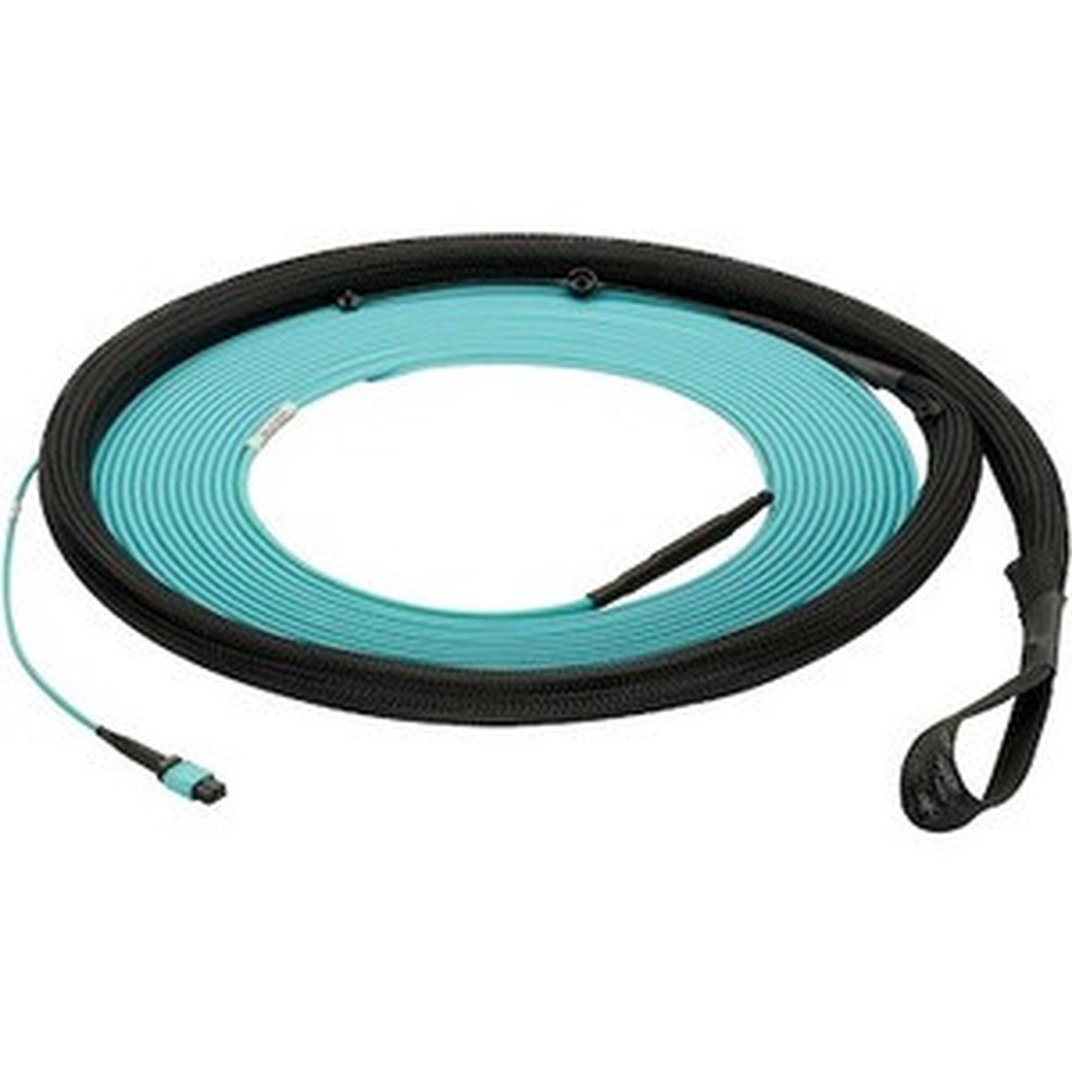 Panduit Fiber Optic Network Cable - FZTYP5E5EAAF255