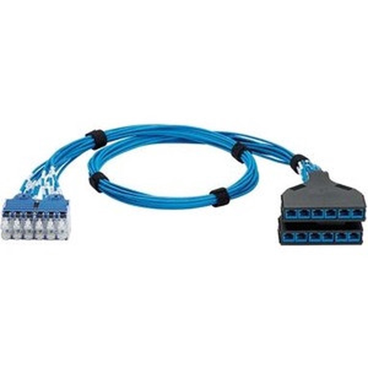 Panduit QuickNet Switch Port Harness - QPCSDBBBB10